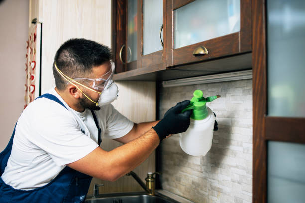 Best Commercial Pest Control Services  in Glen Ellen, CA